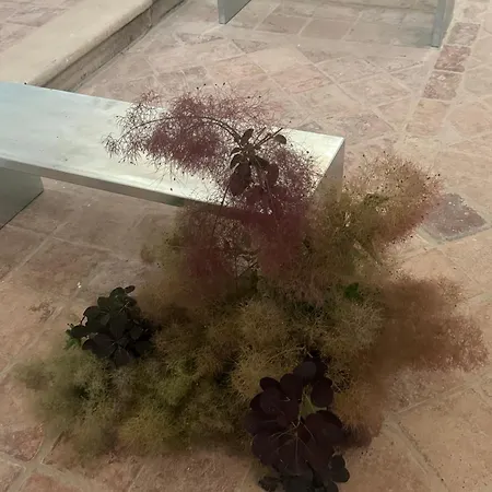 Värdshus Scavolo Borgo SantʼAgata Feltria